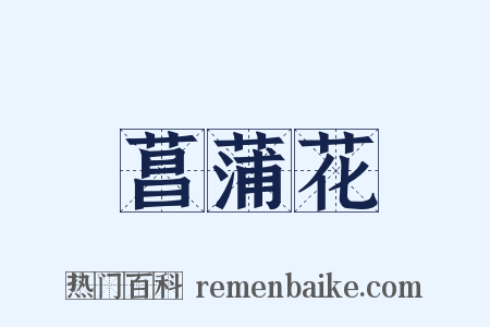 菖蒲花是什么意思的图片